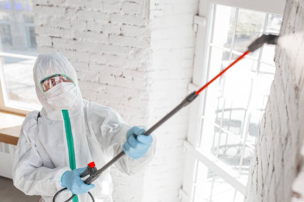 Trusted Nemacolin, PA Mold Inspection, Removal & Remediation Experts